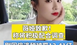 月颜之夜在线观看,浪漫邂逅，穿越时空的奇幻之旅